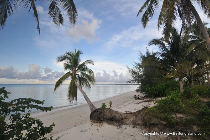 Keunikan Pantai Burung Mandi dkk - Belitung Timur