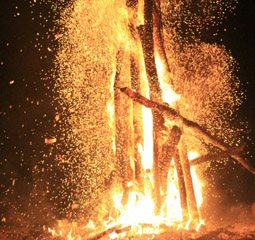 layanan wisata Bonfire @ Beach|Bonfire @ Beach|海滩篝火晚会|بون فاير @ بيتش