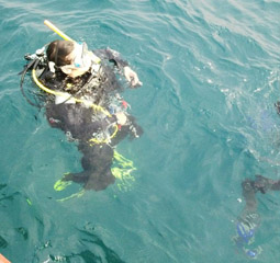 الخدمات السياحية Dive Buddy|Dive Buddy|潜水伙伴|الغوص الأصدقاء