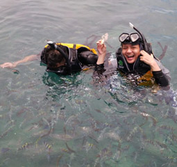 tour services Snorkeling|Snorkeling|浮潜|الغطس