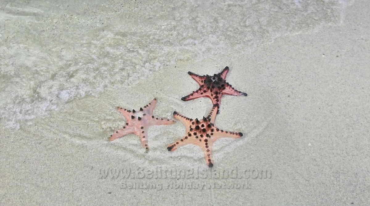 belitung destination foto 1