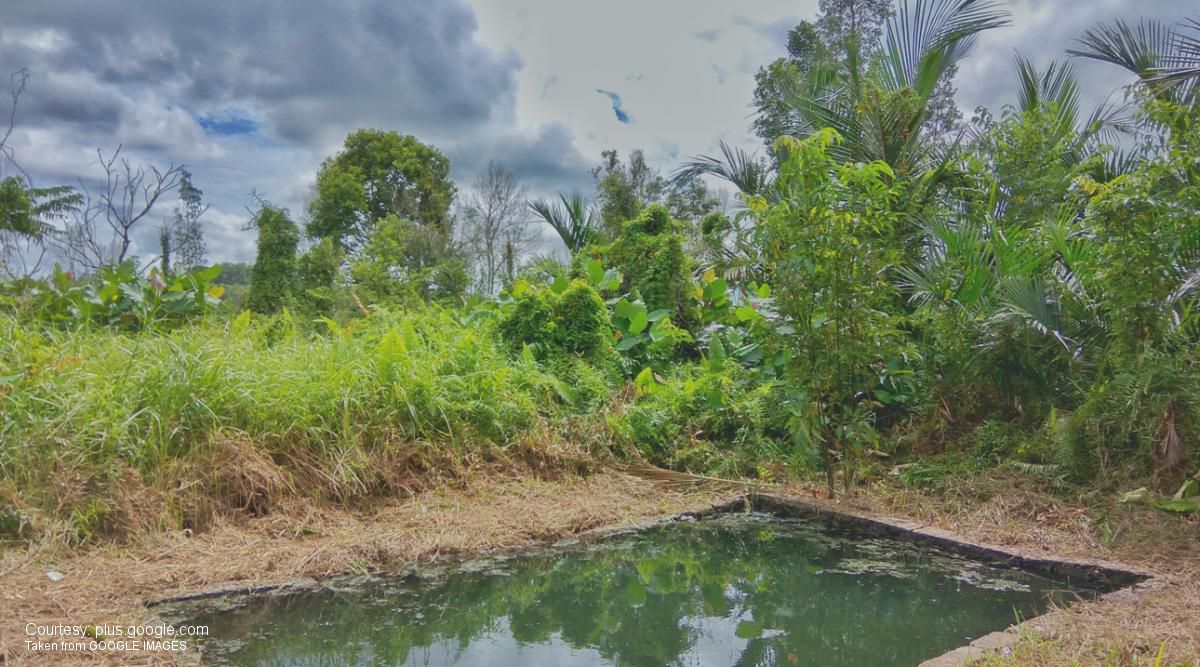 belitung destination Kampong Buding