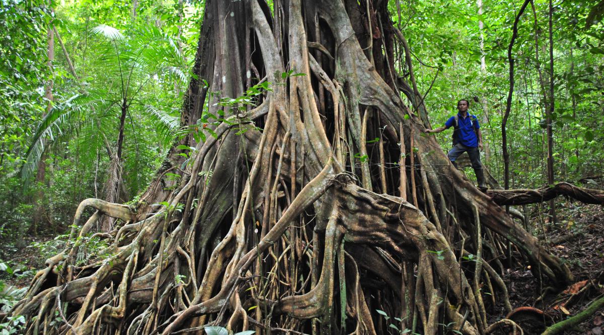 Photo Bukit Peramun