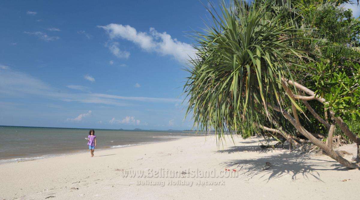 Itinerary Day #1 - Destination Kampong Dedaun|Dedaun Village|甘榜德丹|Kampong Dedaun