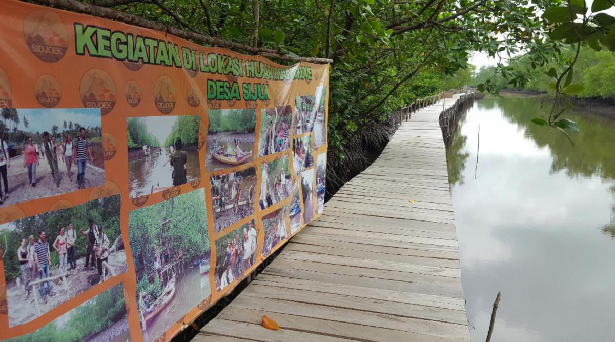 belitung destination Mangrove Kuale