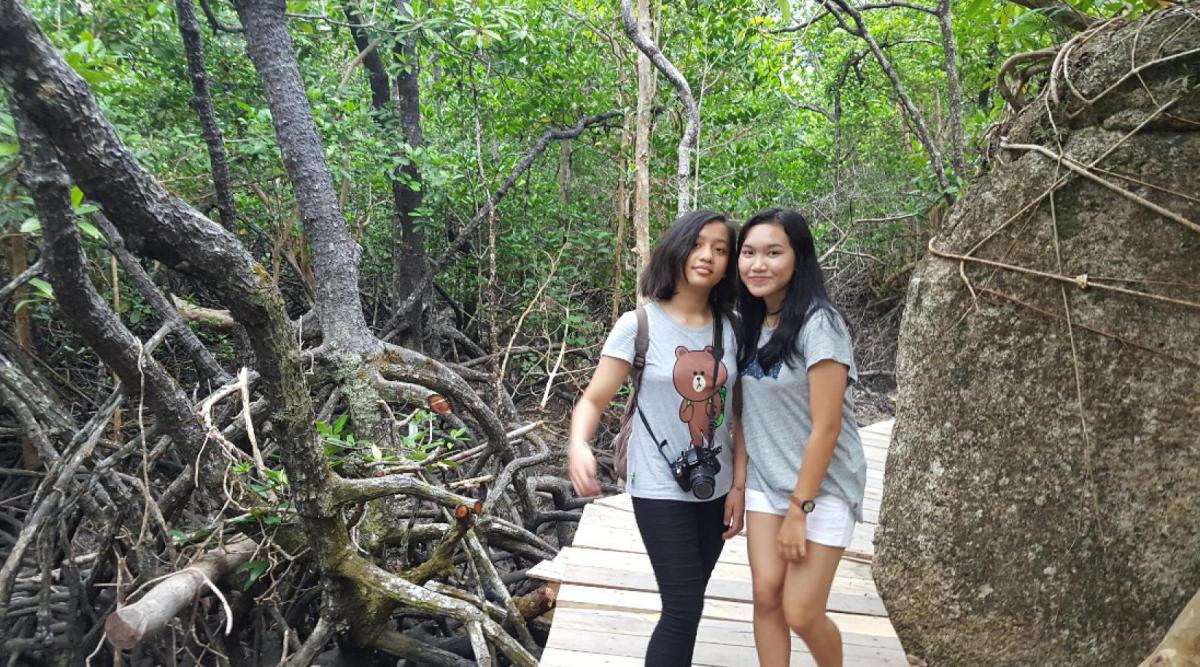 belitung destination Mangrove Kuale