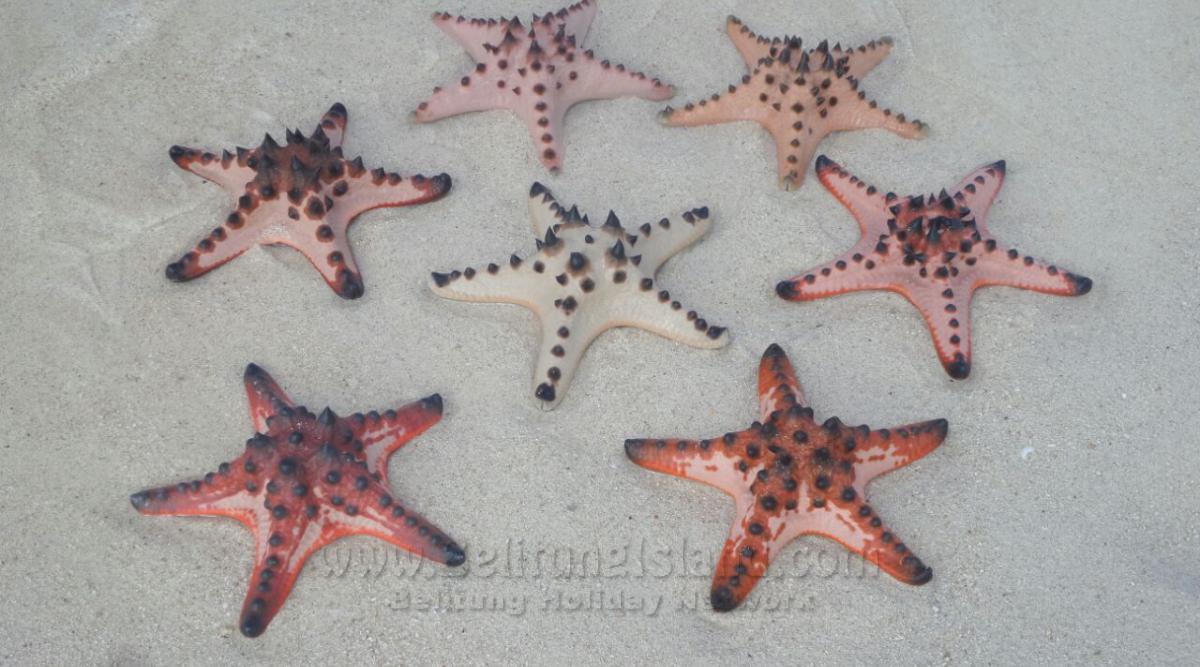 image belitung #2