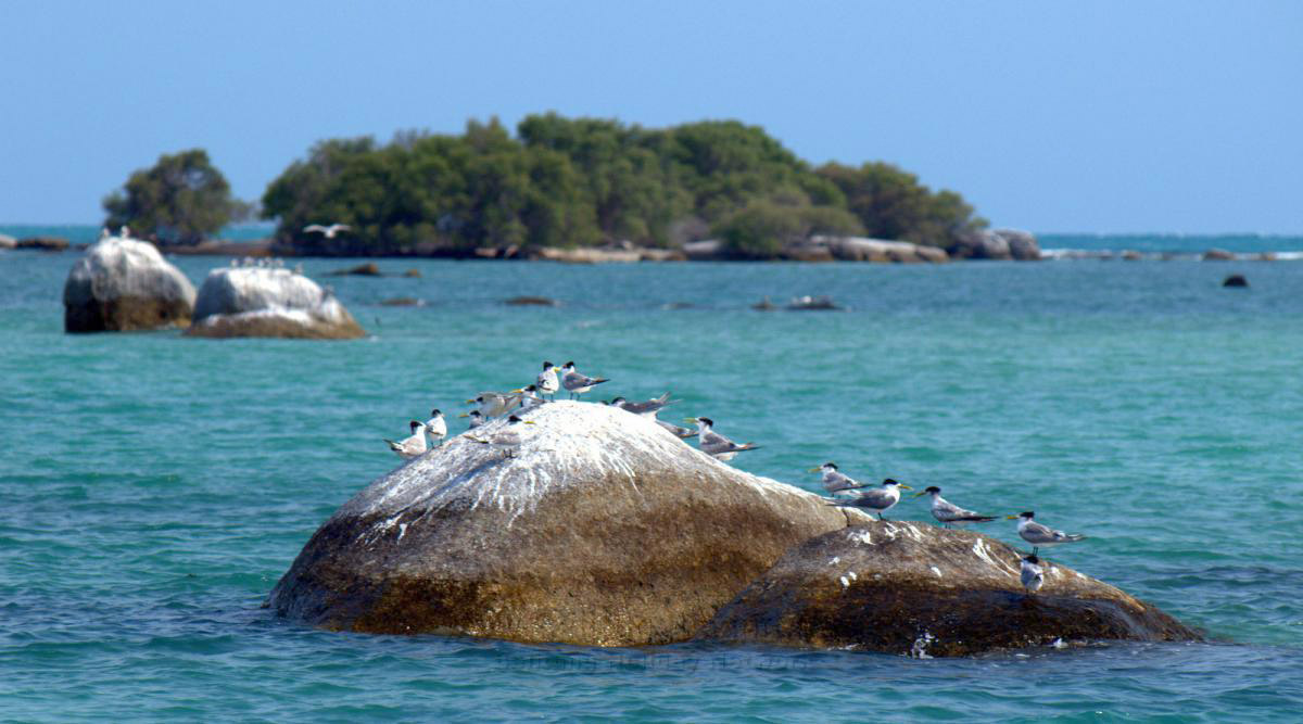 image belitung #2