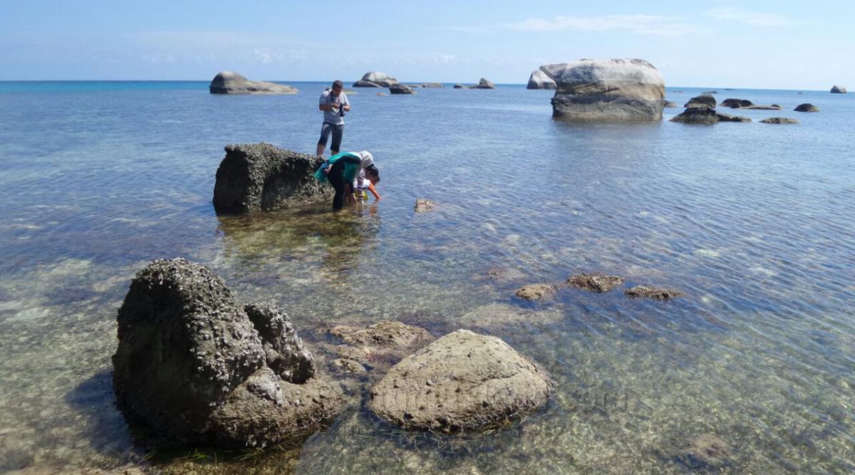 Jadwal Hari #1 - Destinasi Tanjung Tinggi| Tanjung Tinggi|丹戎丁宜|تانجونج تينجي