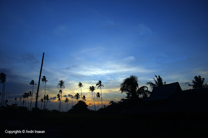 Fotografer:  Andri Irawan 7