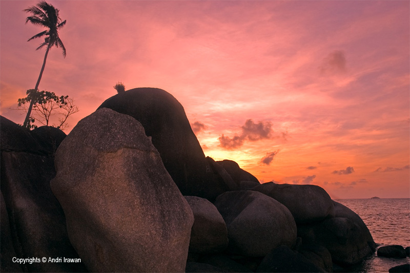 Fotografer:  Andri Irawan 7