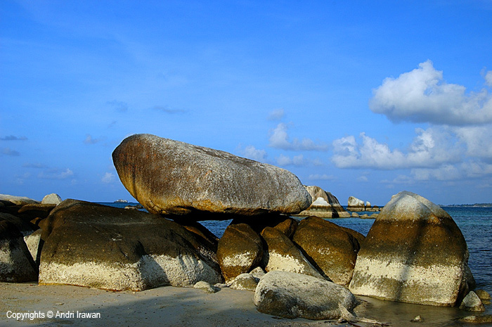 Fotografer:  Andri Irawan 11