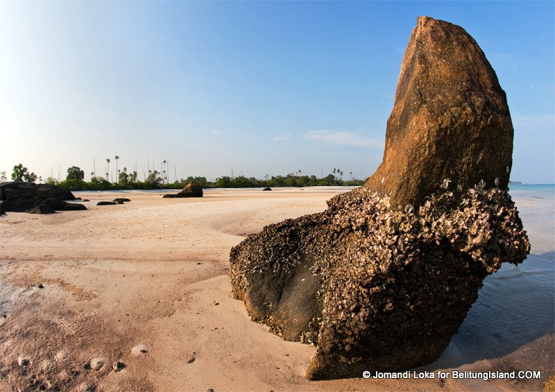 Fotografer:  Jomandi Loka 38