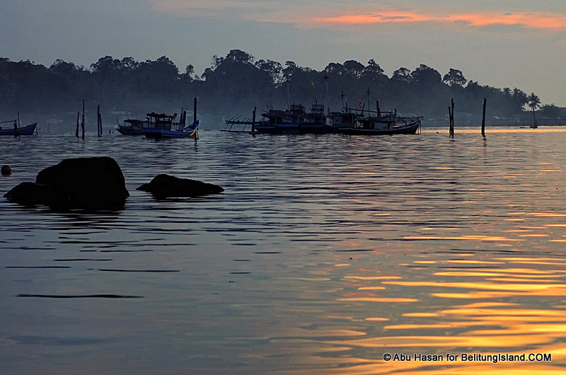 Fotografer:  Abu Hasan 15