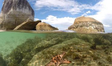 Aereal view of Belitung|Aereal view of Belitung|勿里洞的鸟瞰图|منظر جوي لبيليتونج