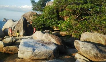 The Mashur Belitung|The Mashur Belitung|马修·勿里洞|The Mashur Belitung