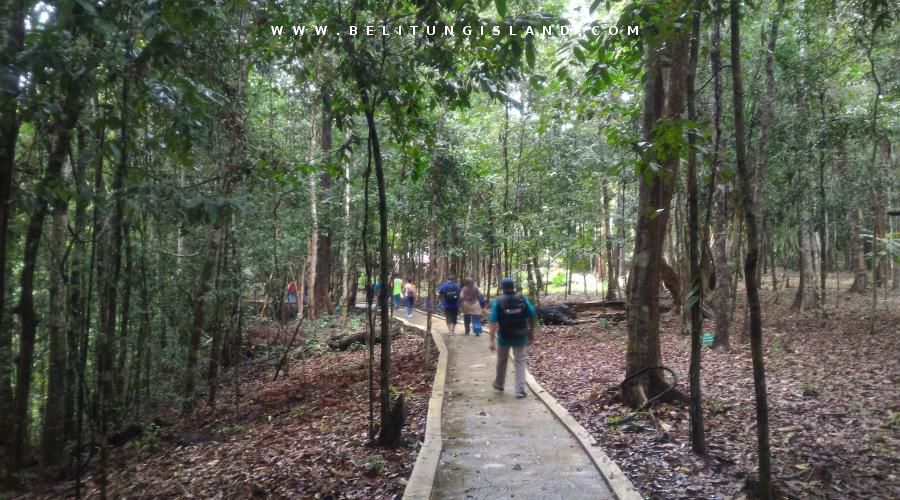 belitung image
