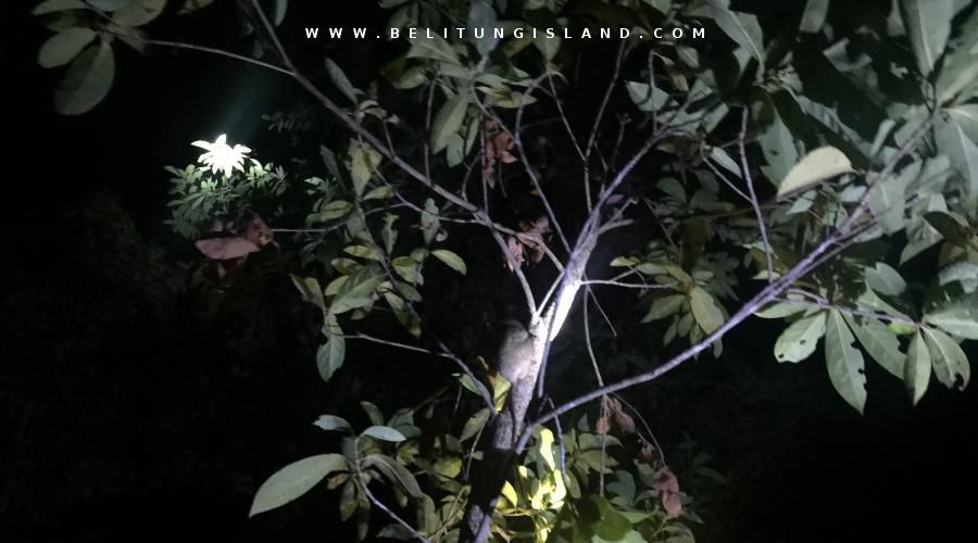 belitung image