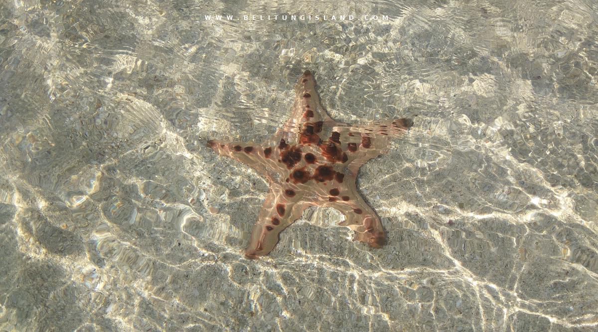 belitung image