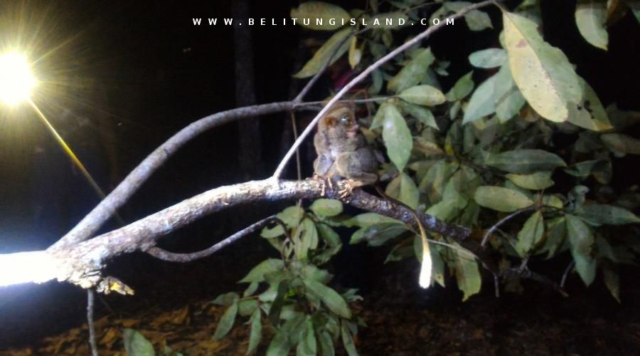 belitung image