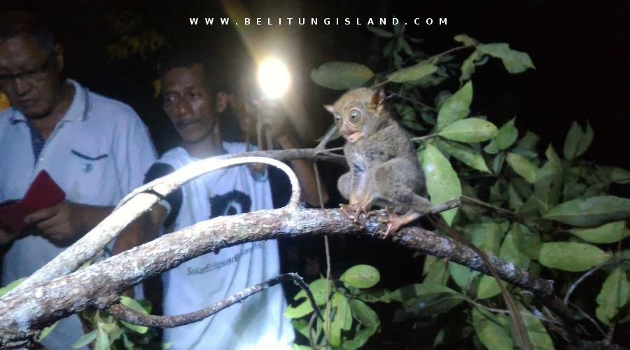 belitung image