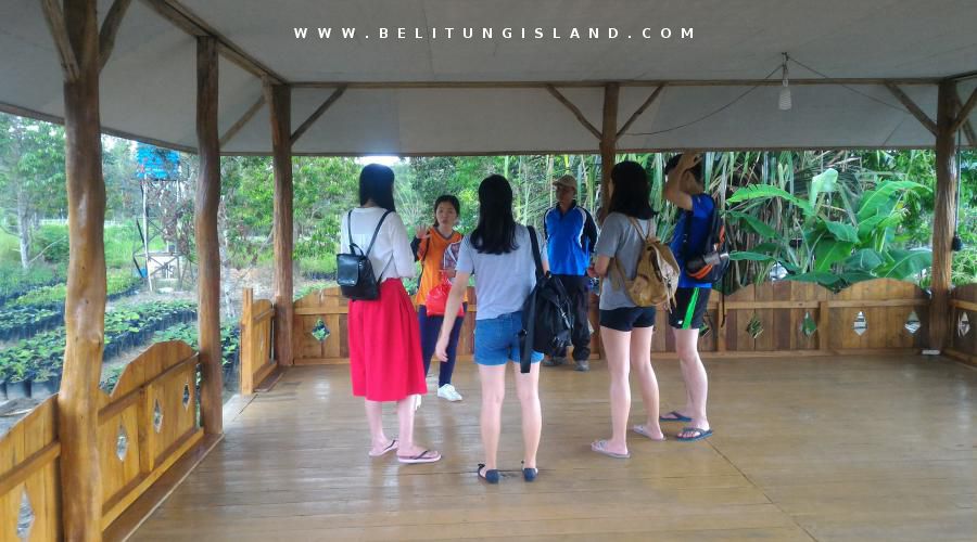 belitung image