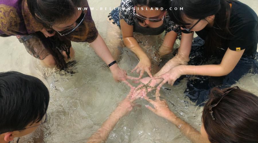belitung image