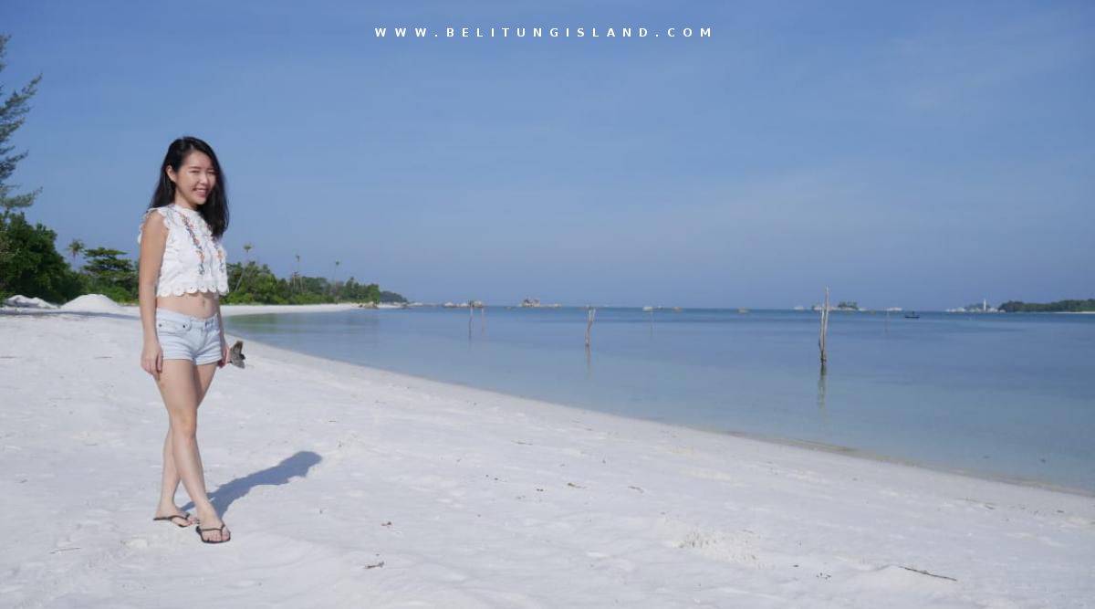 belitung P11691