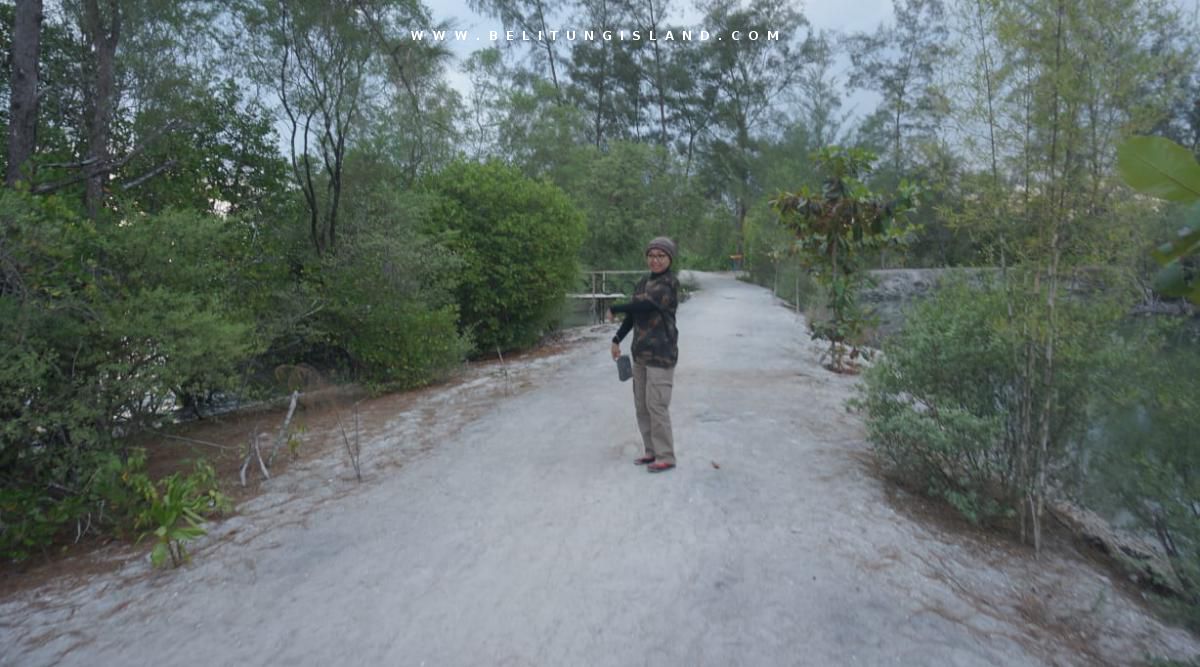 belitung image