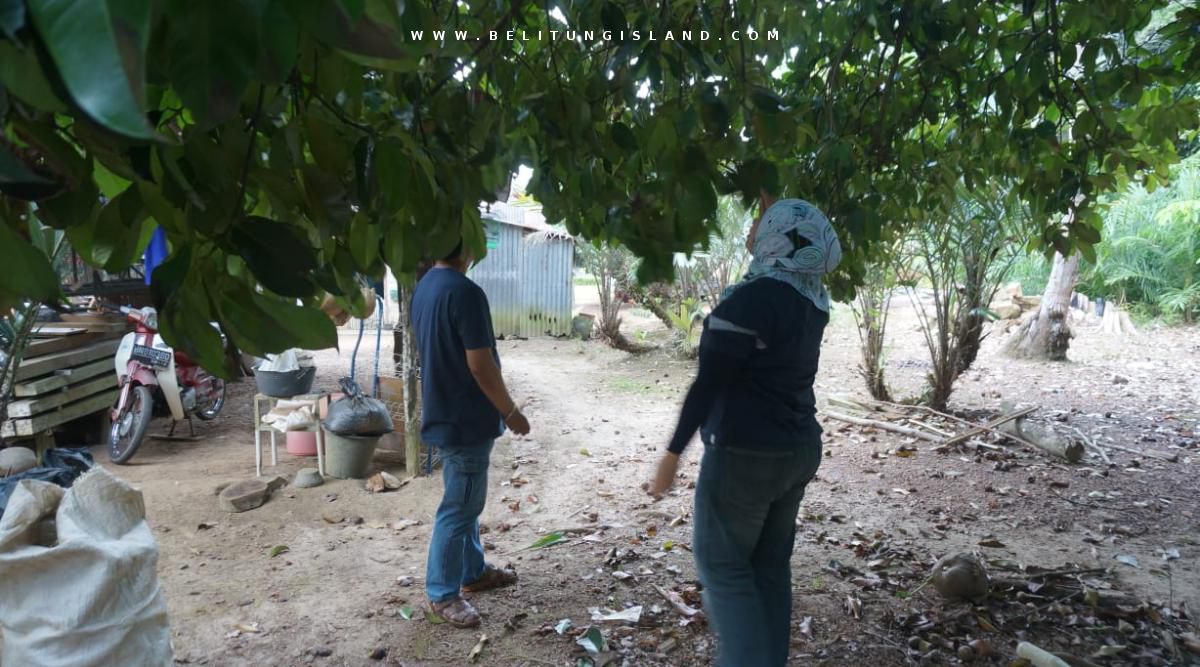 belitung image