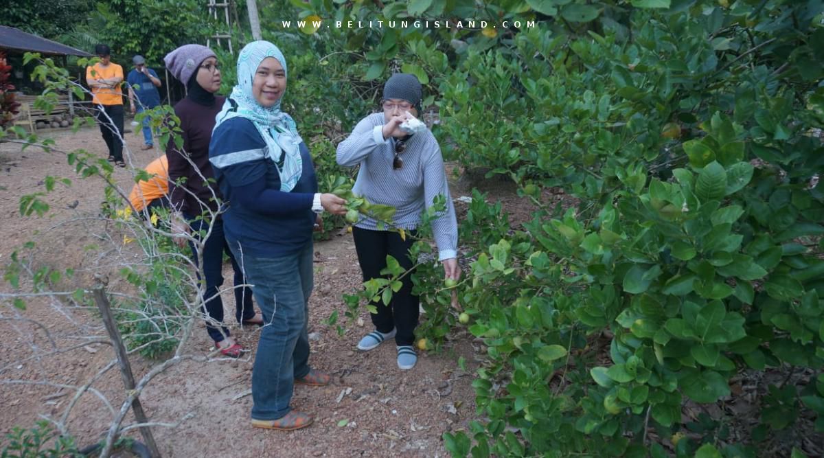 belitung image