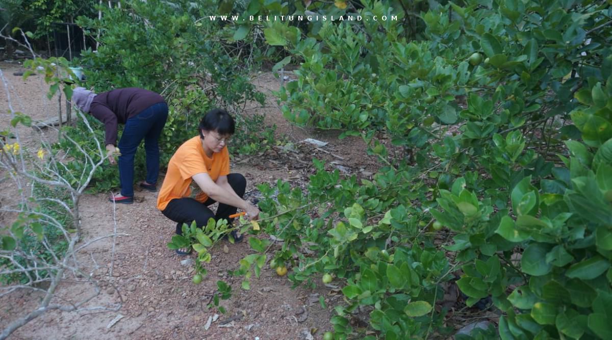 belitung image