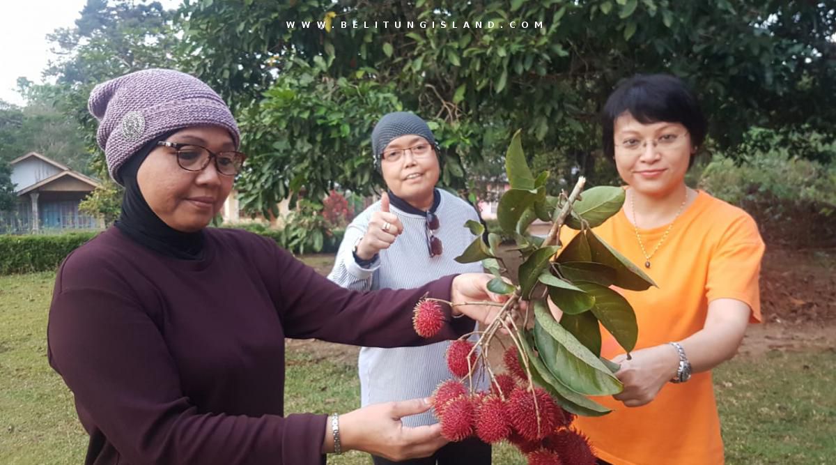 belitung image