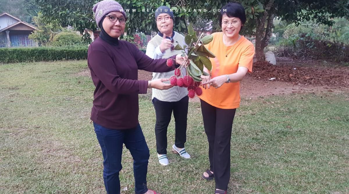 belitung image
