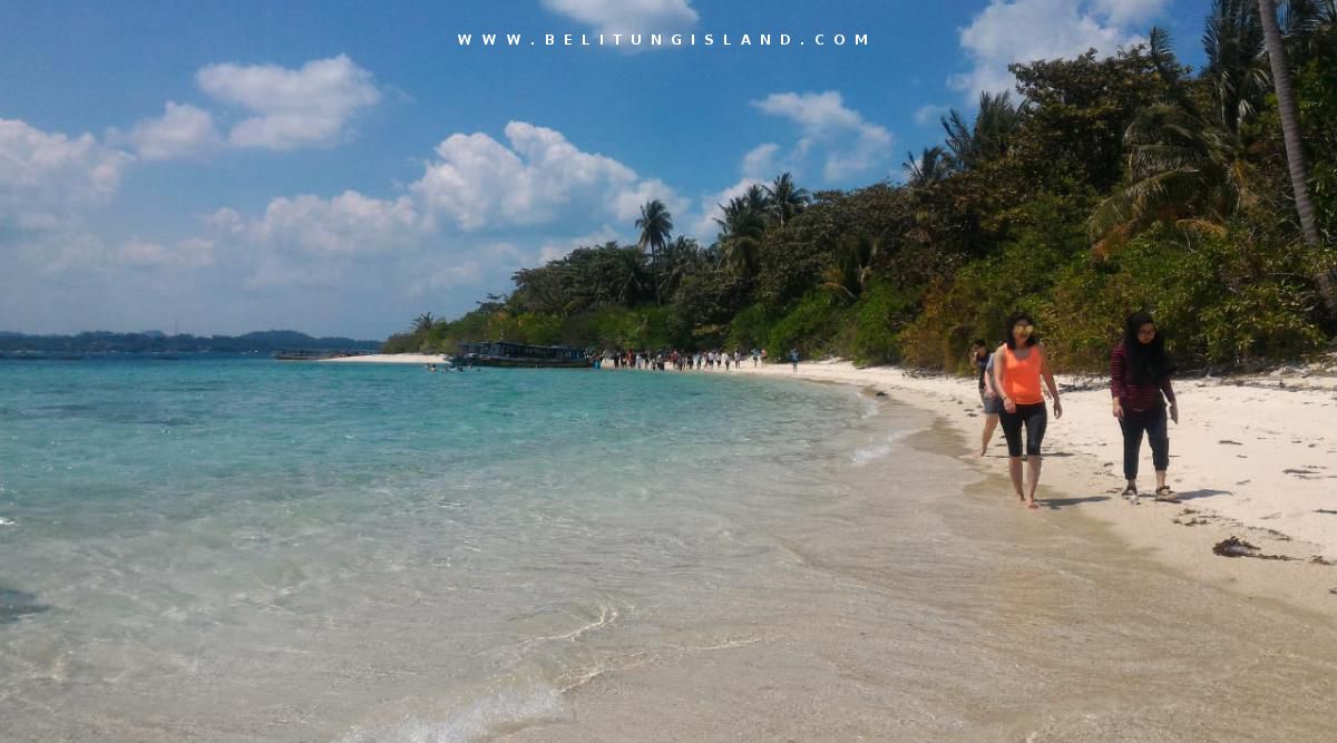 belitung P11808