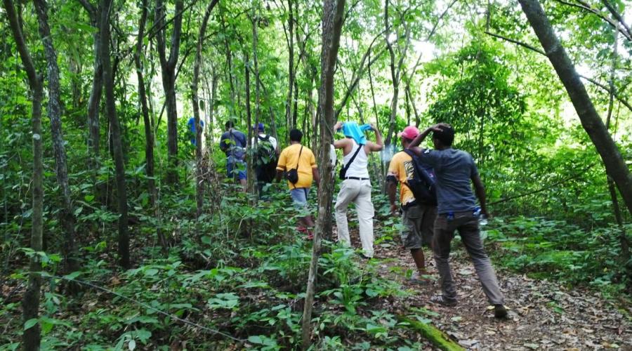 foto #2 http://www.belitungisland.com foto #2 http://www.belitungisland.com